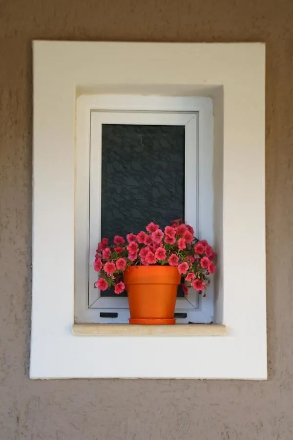 Lägenhet Nikoleta'S Studios Argostoli